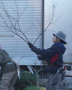 Cropped DSC02409 Scaled 1 E1747738622637 239x300