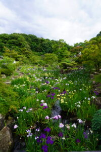 Kanmuriyama Park10.jpg 200x300