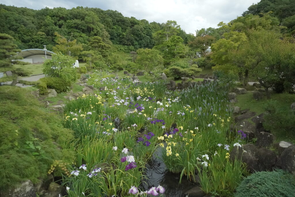 Kanmuriyama Park14.jpg 1024x683