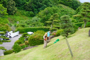 Niwa Sentei 18 300x200